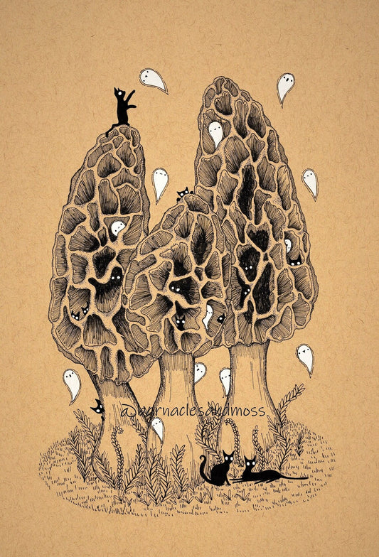 Morel Mushroom Print