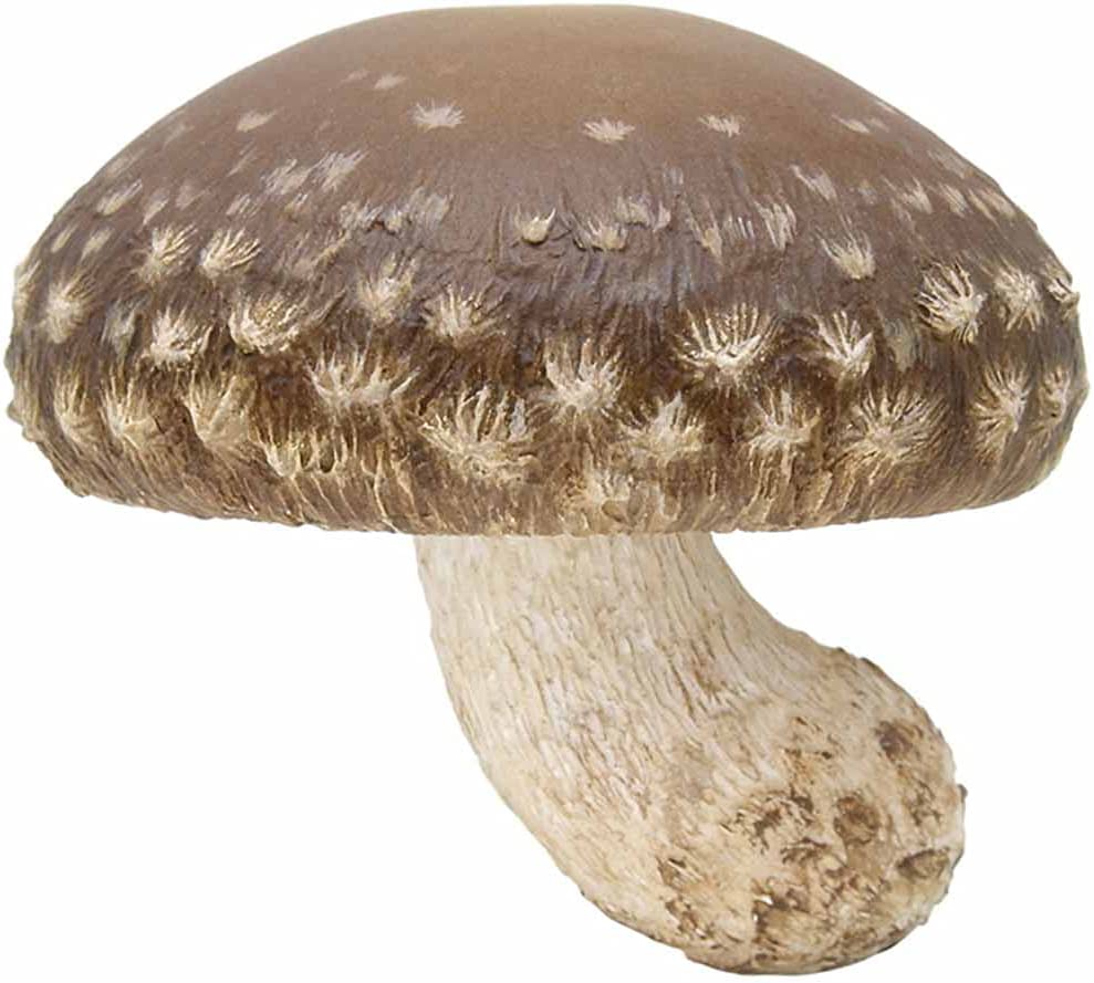 Kitan Club Mushroom Soft Rubber Charm Blind Box