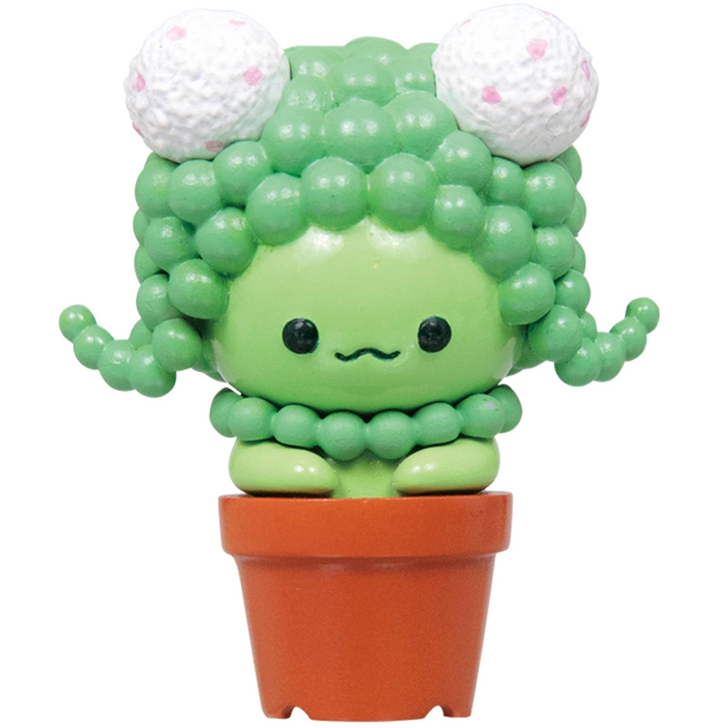 Succulent Friends Blind Box