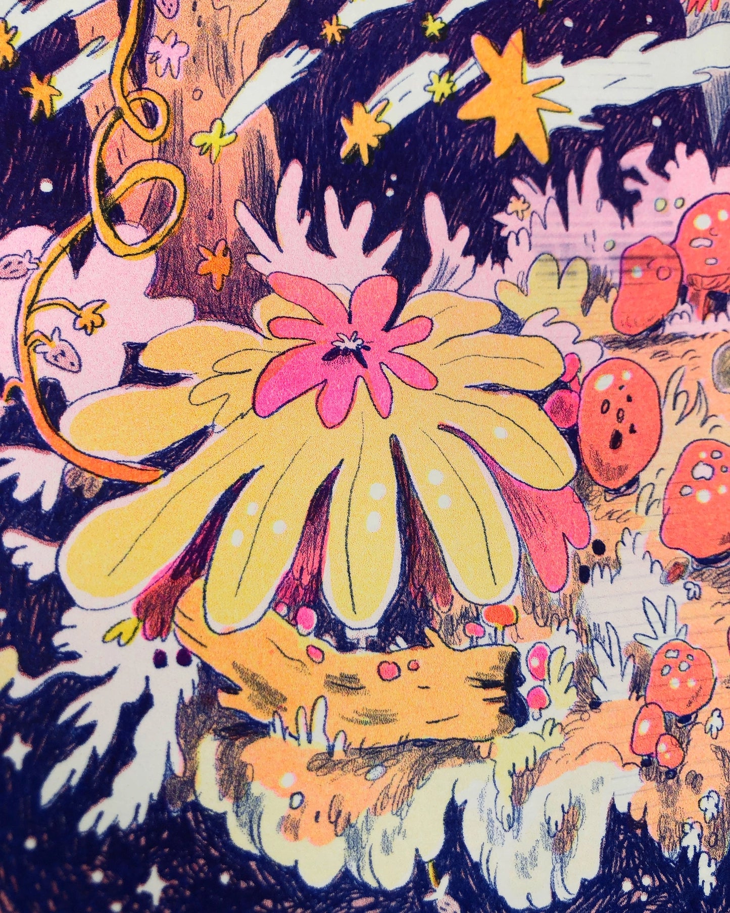 Spirit of the Shooting Stars Print