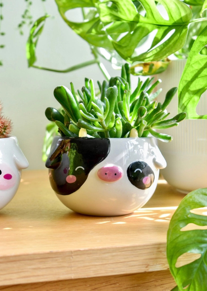 Cow Planter