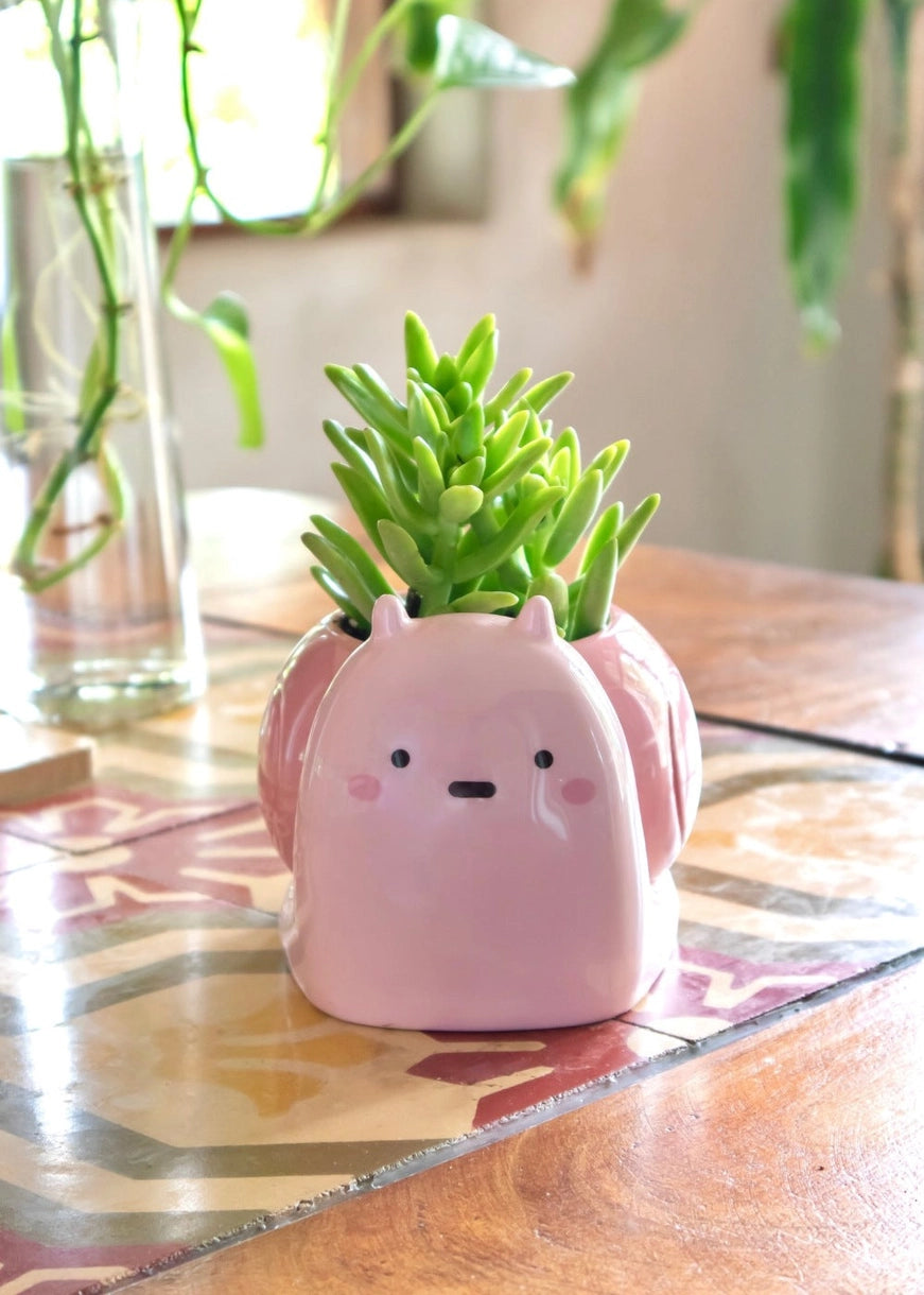 Snail Planter