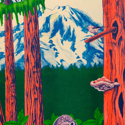 PNW Nature Riso Print