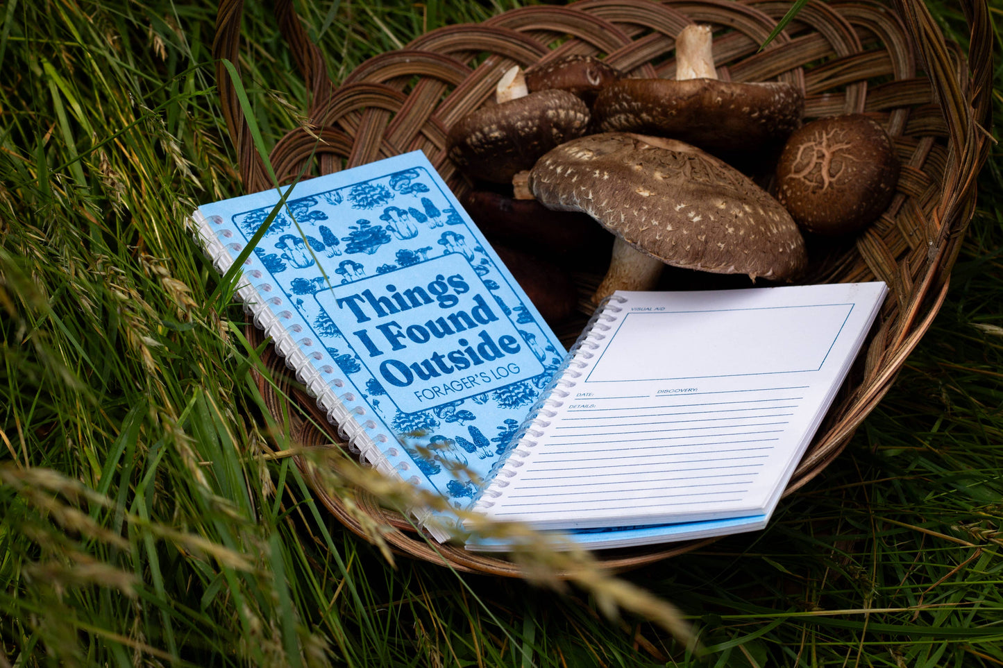 Forager's Log