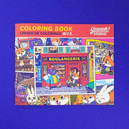 Rémi and Company Small Coloring Book