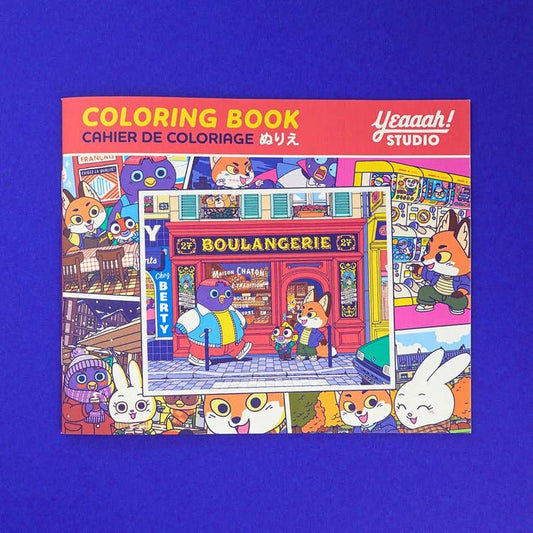 Rémi and Company Small Coloring Book