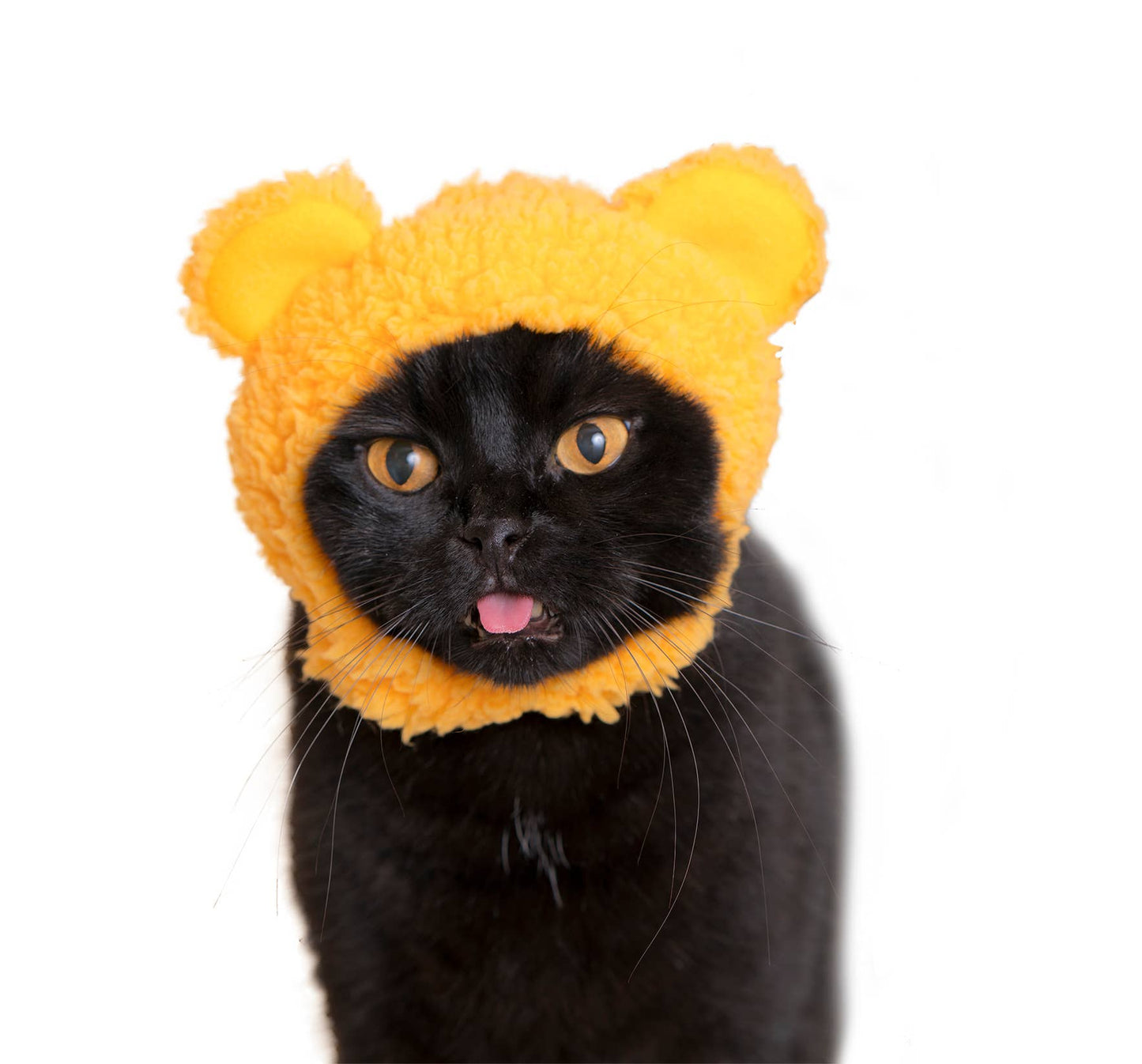 Kitan Club Cat Cap Blind Box Bear