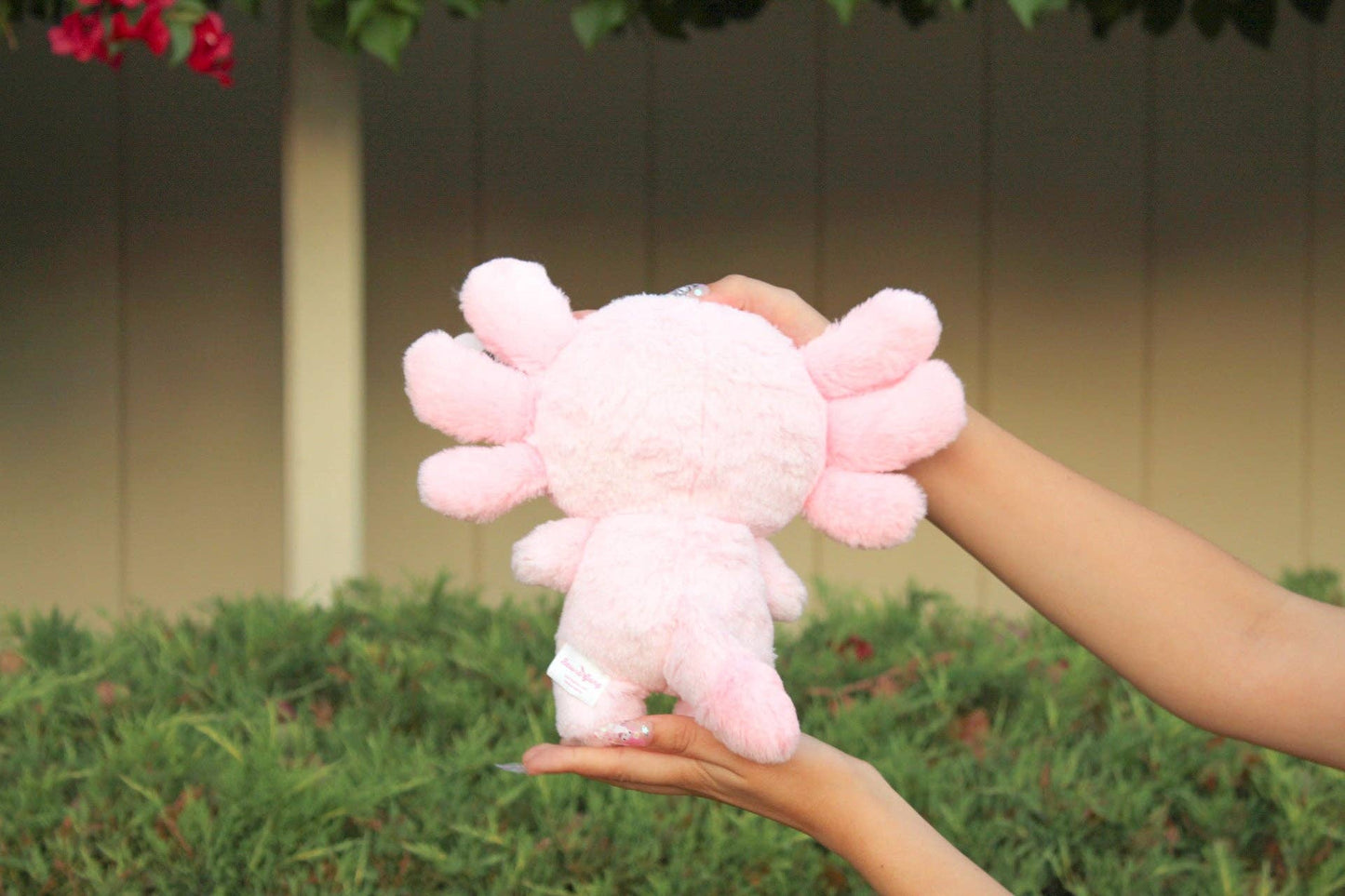 Maxolotl the Axolotol Plushie