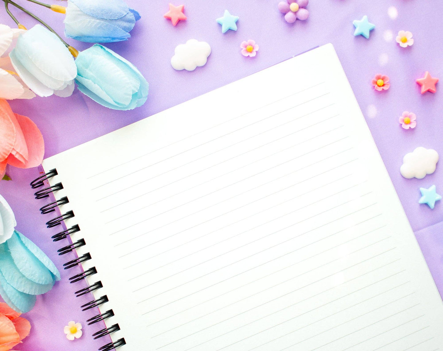 Study Night Spiral Lined Notebook