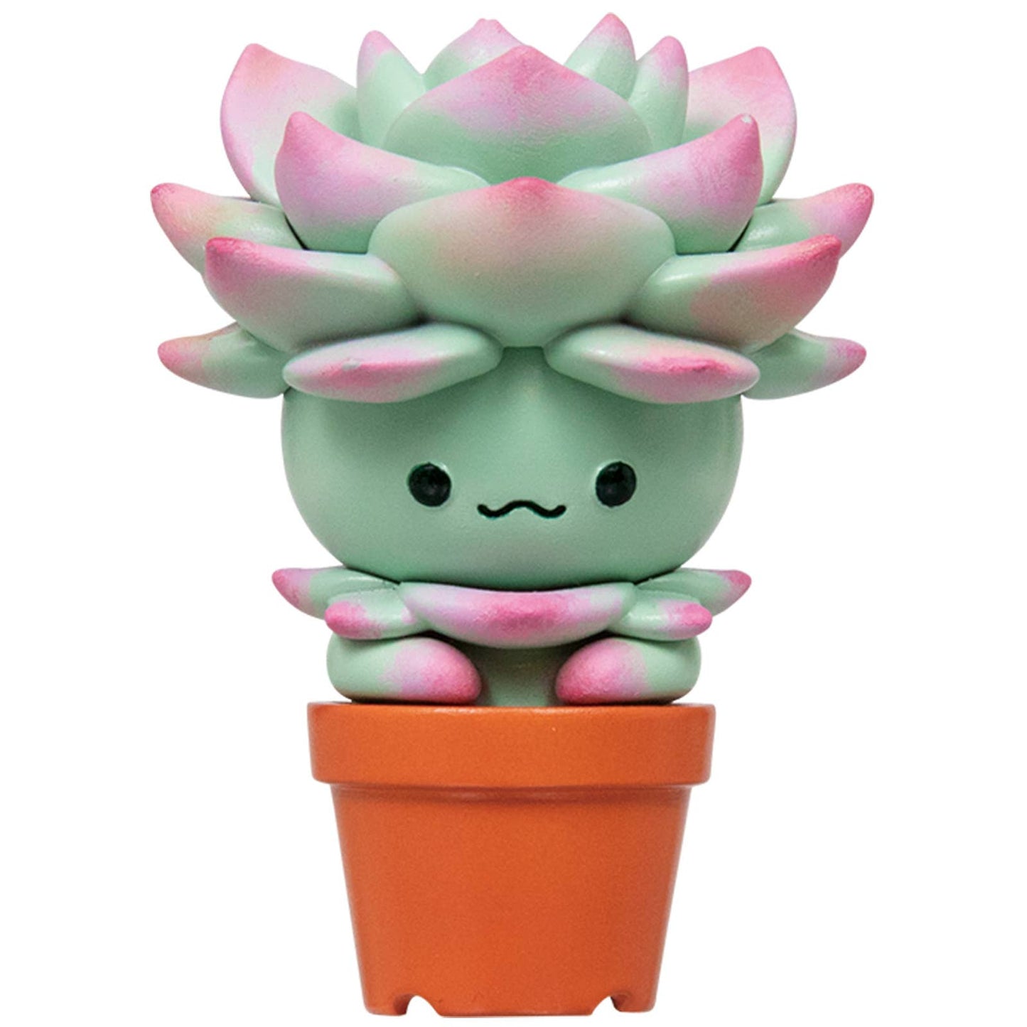Succulent Friends Blind Box