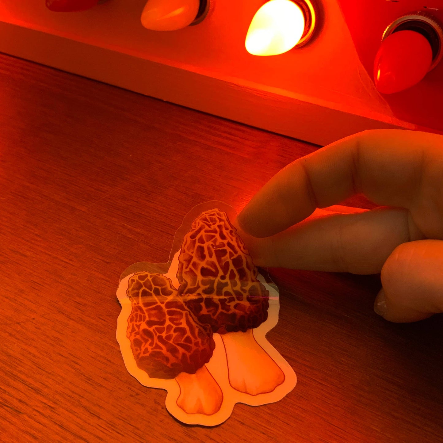 Morel Sticker