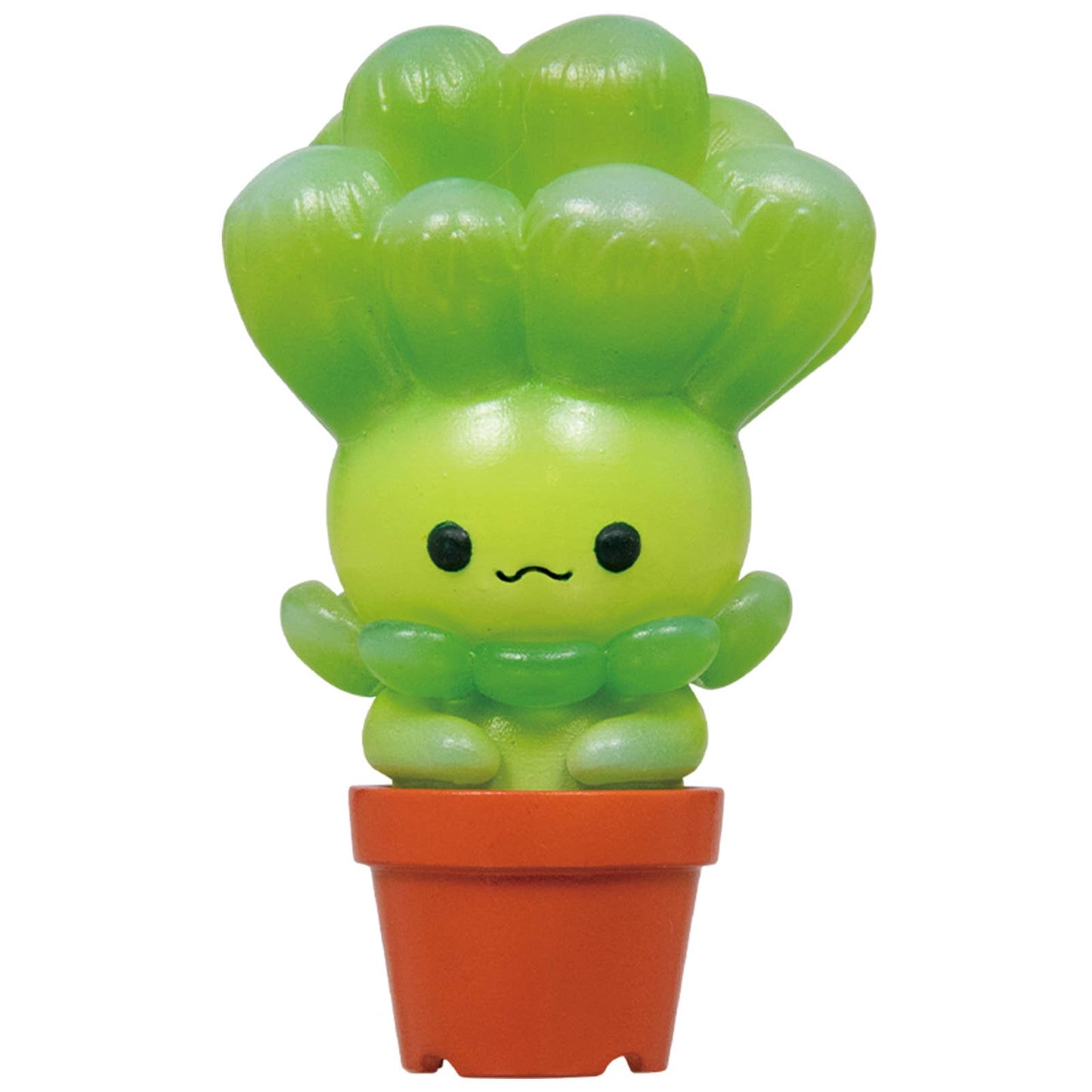 Succulent Friends Blind Box