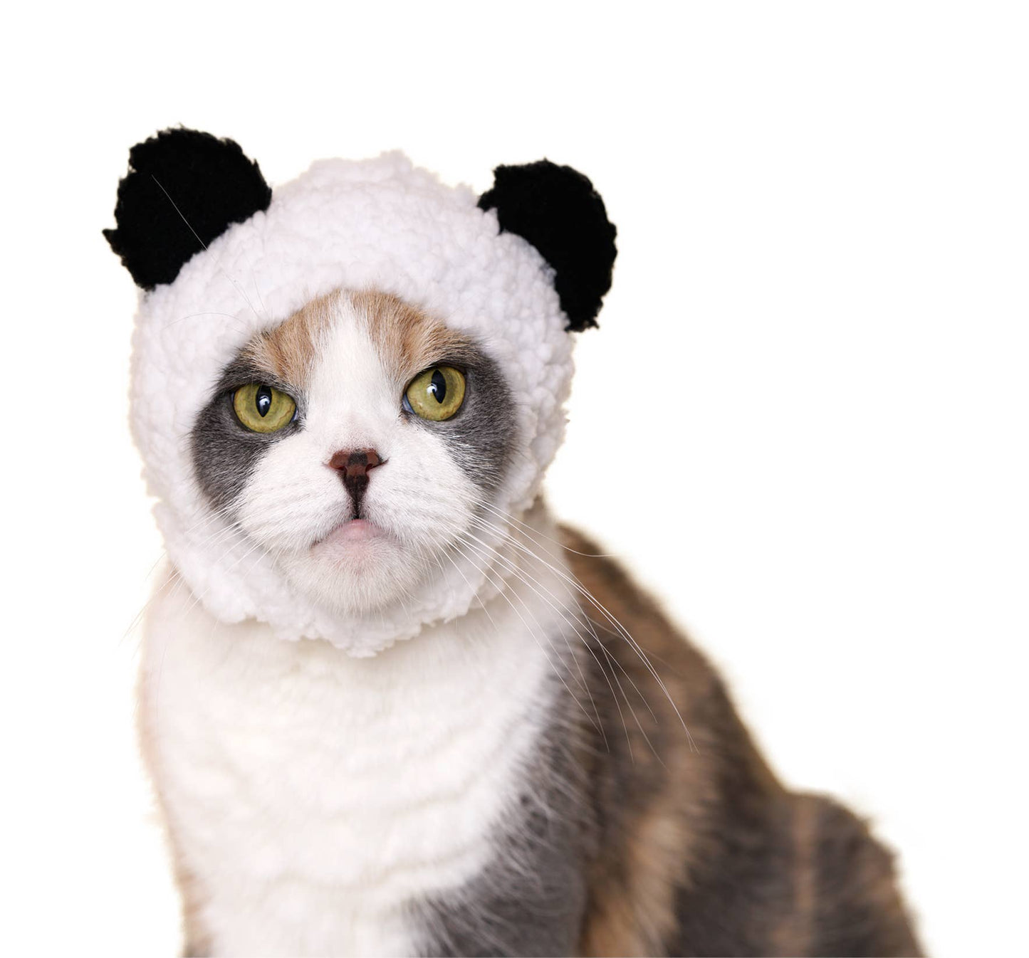 Kitan Club Cat Cap Blind Box Bear