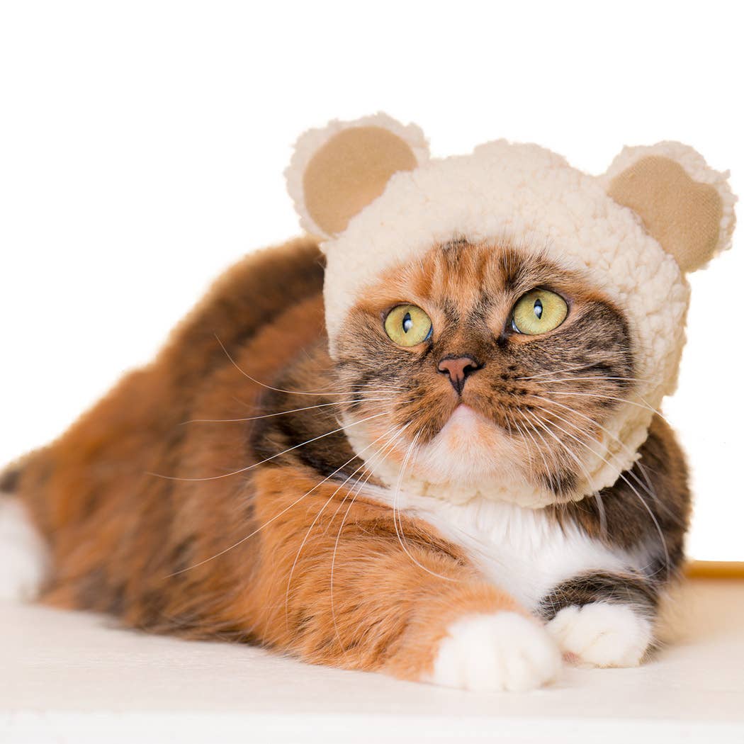 Kitan Club Cat Cap Blind Box Bear