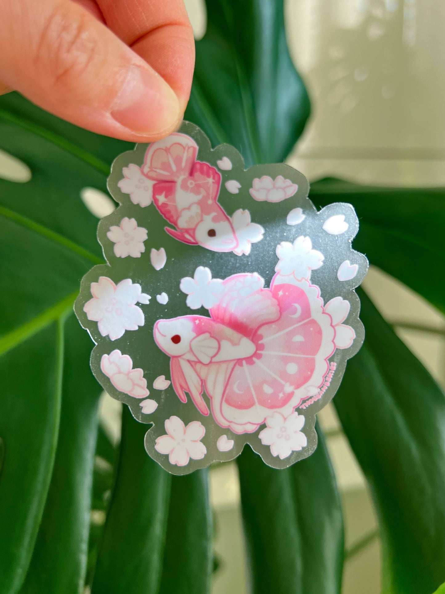 Sakura Half Moon Betta Transparent Vinyl Sticker