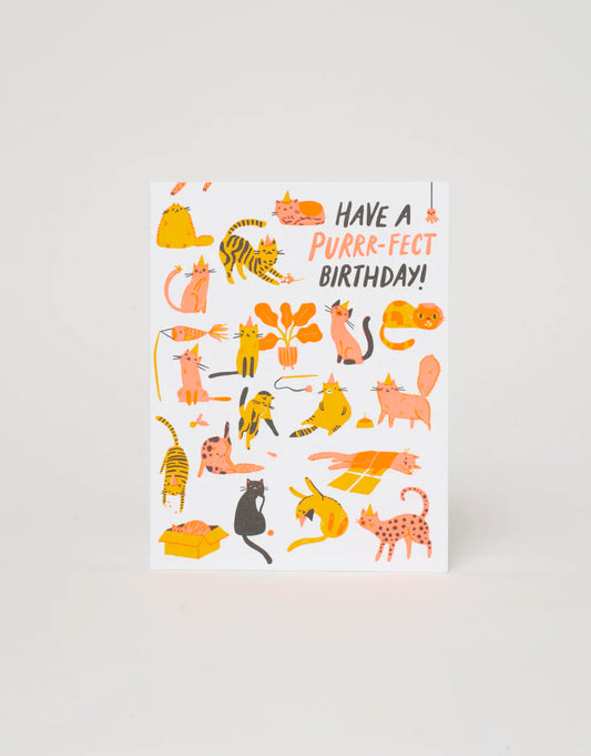 Purr-fect Birthday Greeting Card