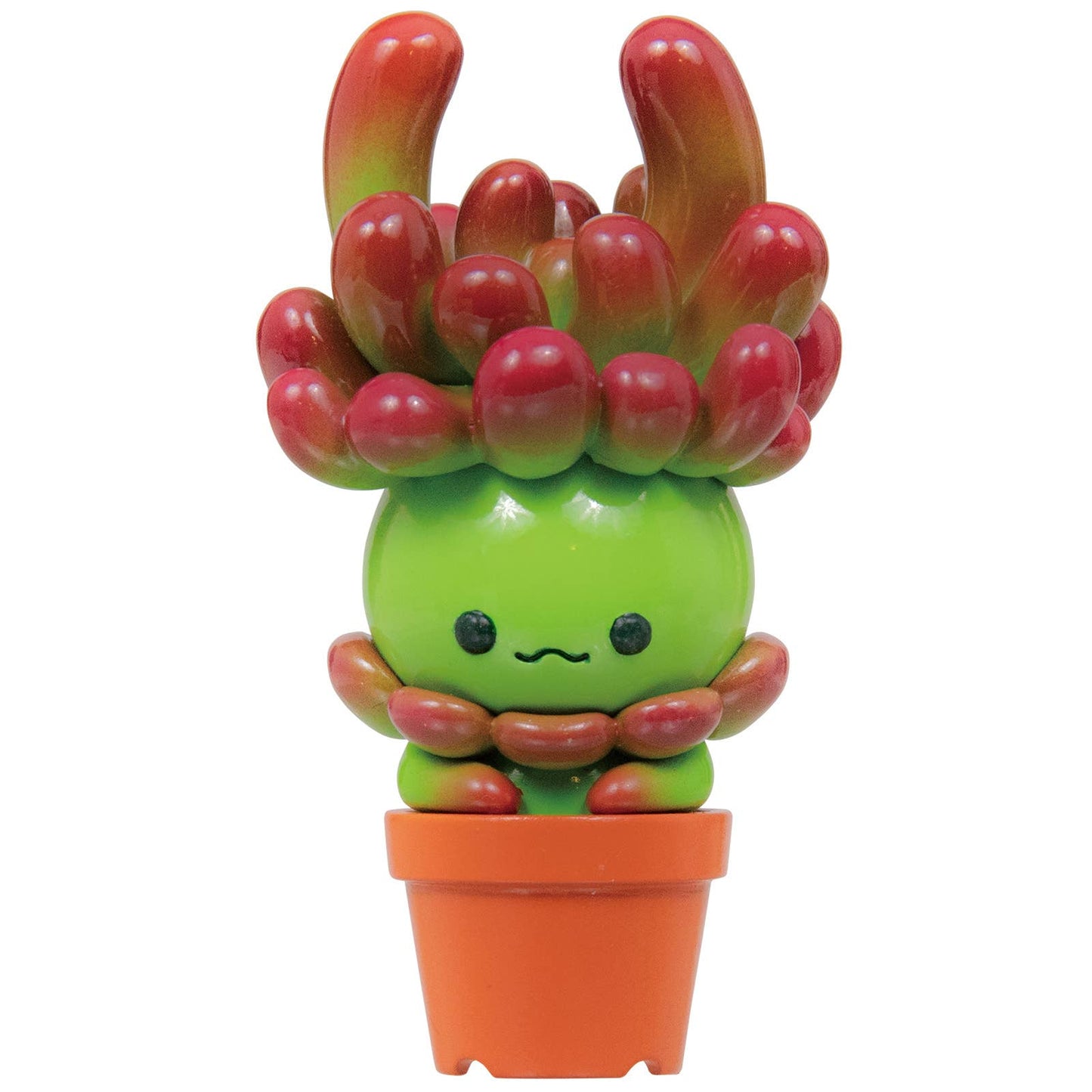 Succulent Friends Blind Box