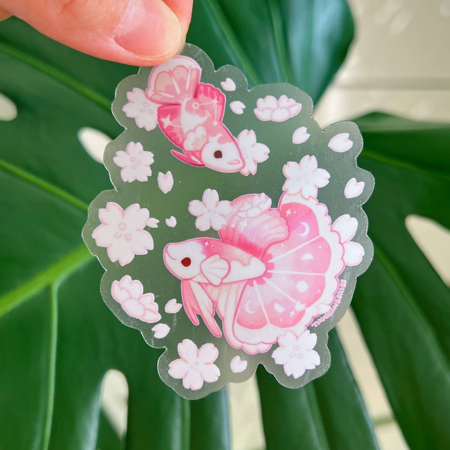 Sakura Half Moon Betta Transparent Vinyl Sticker