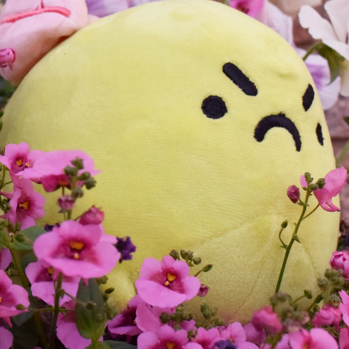Grumpy the Angry Toad Plushie