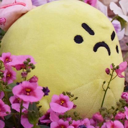 Grumpy the Angry Toad Plushie