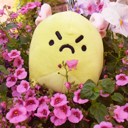 Grumpy the Angry Toad Plushie