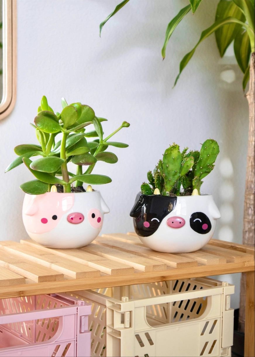 Cow Planter