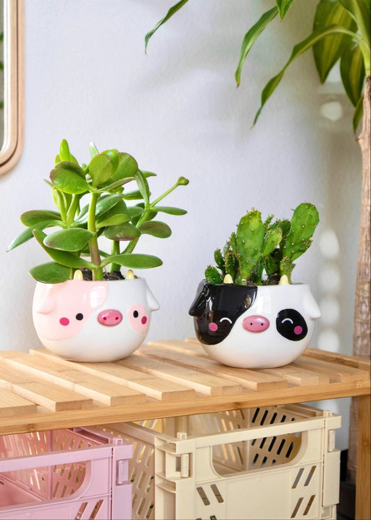 Cow Planter