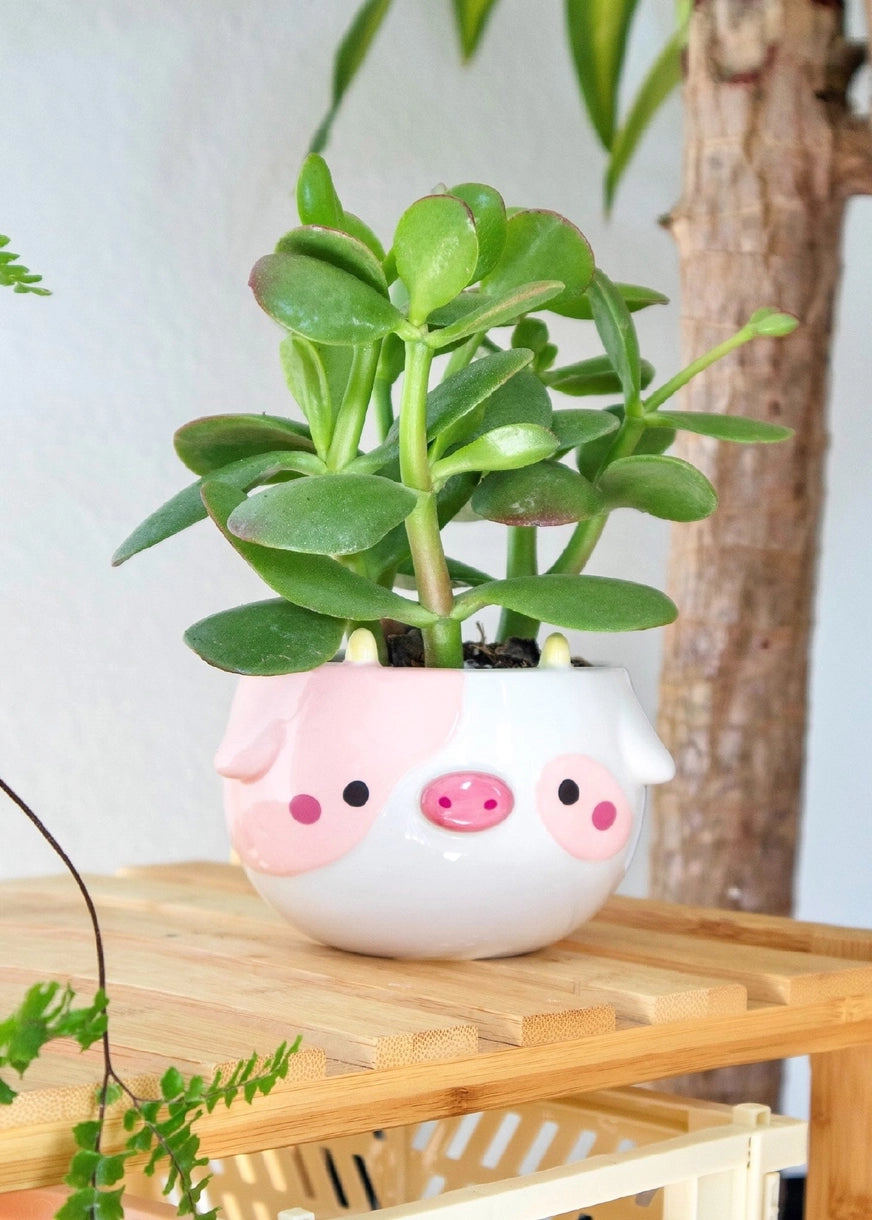 Cow Planter