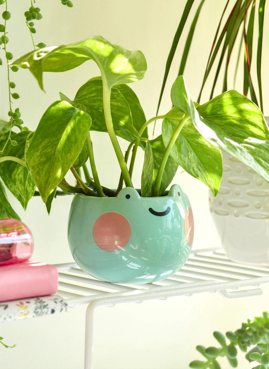 Ebbo Frog Planter