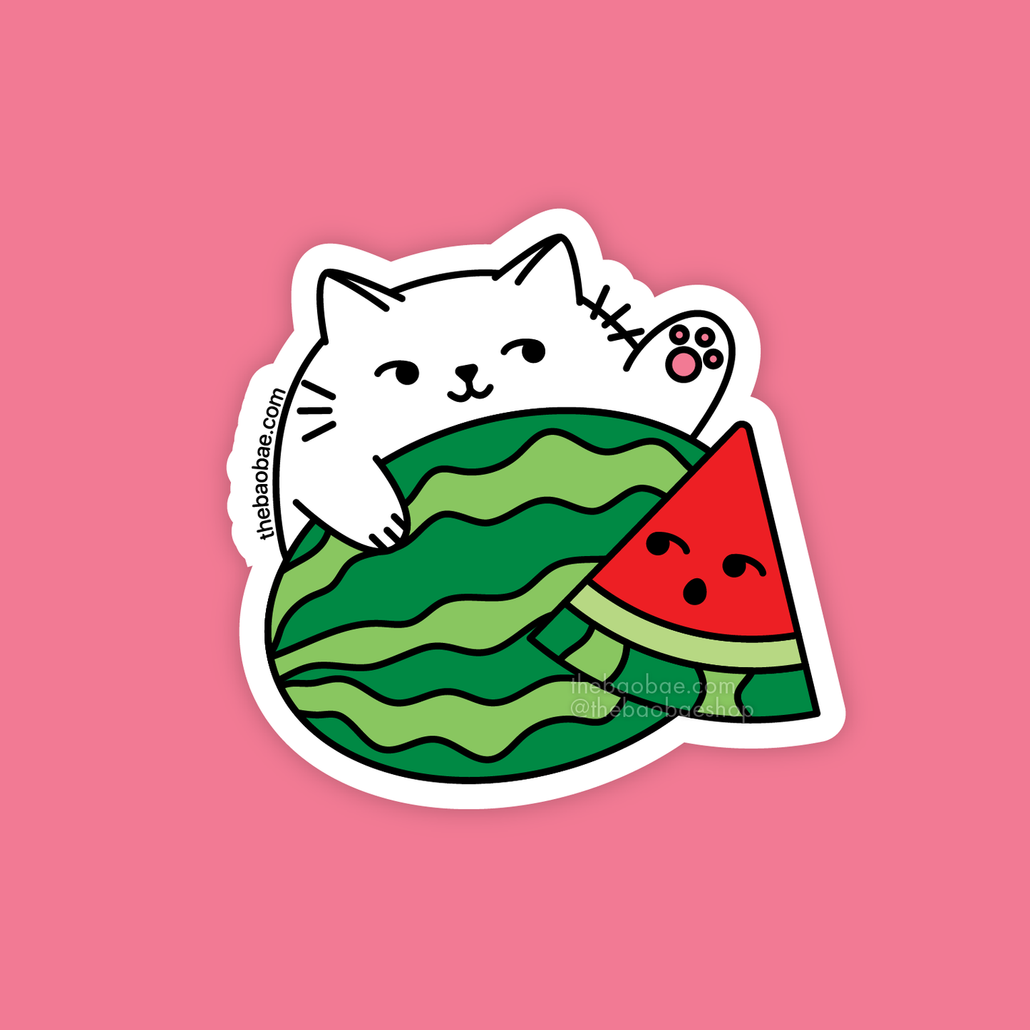 Bongo Watermelon Cat