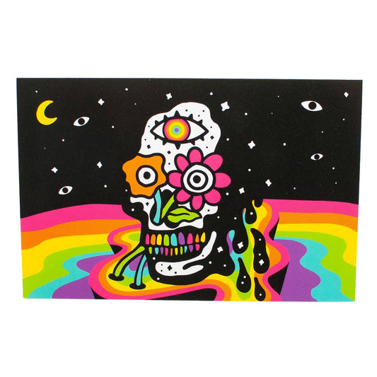 Rainbow Skull Postcard