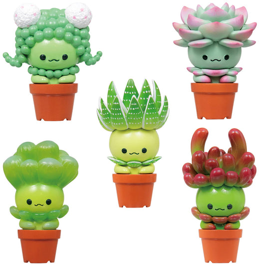 Succulent Friends Blind Box